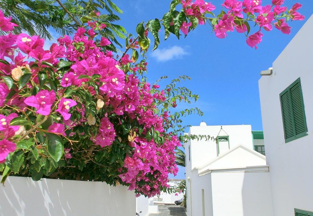 Villas Puerto Rubicon Playa Blanca  Eksteriør billede